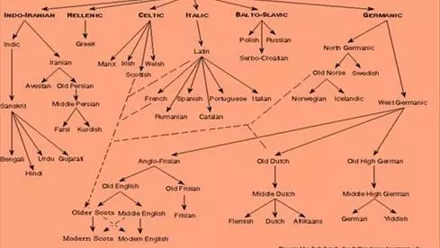 Indo-European linguistic family tree